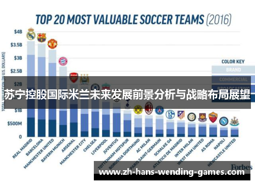 苏宁控股国际米兰未来发展前景分析与战略布局展望 苏宁控股国际米兰未来发展前景分析与战略布局展望